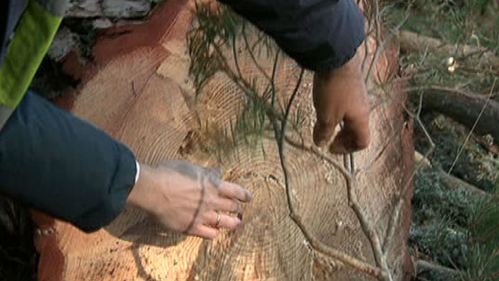 Los gabarreros, un oficio centenario