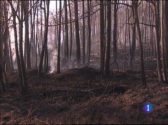 Panorama Regional - Panorama Regional 2 - 05/01/16