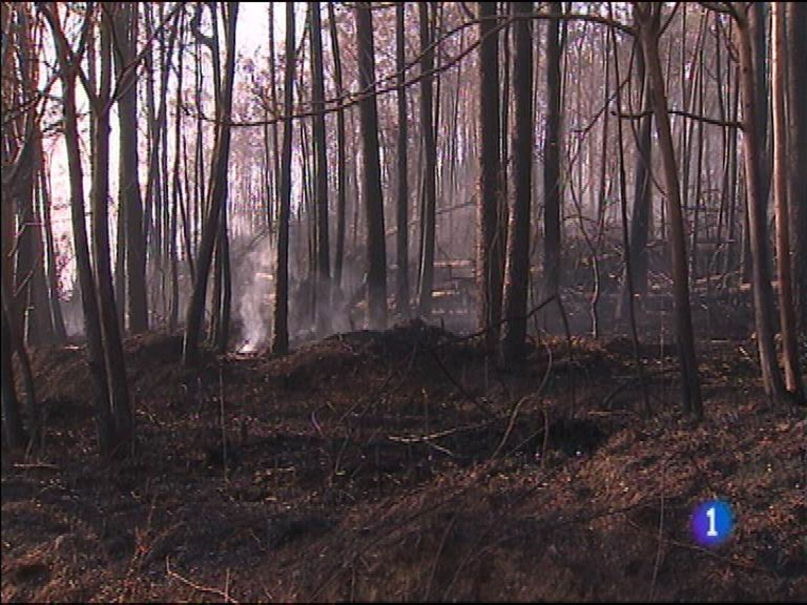  Asturias fue en 2015 la cuarta comunidad española en la que menos bajó el paro. En diciembre, en cambio, el paro se redujo en Asturias más que la media española. Casi mil seiscientas personas abandonaron las listas del desempleo.El Principado pide al gobierno central agilidad y flexibilidad para que las ayudas lleguen lo antes posible a los afectados por los incendios forestales que asolaron Asturias durante dos semanas. . No hay confirmación oficial sobre la intencionalidad de la mayoría de los incendios ni estimación de pérdidas económicas.