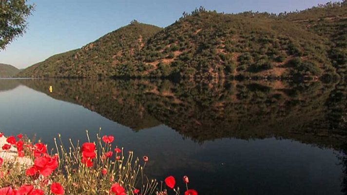 Otros documentales - Tajo Internacional