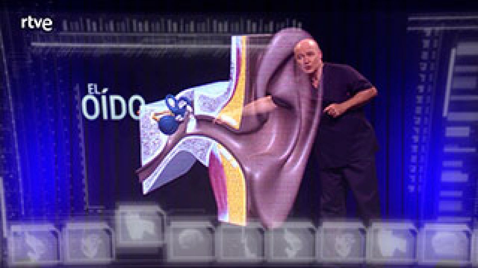  El equilibrio es una cuestión de oído