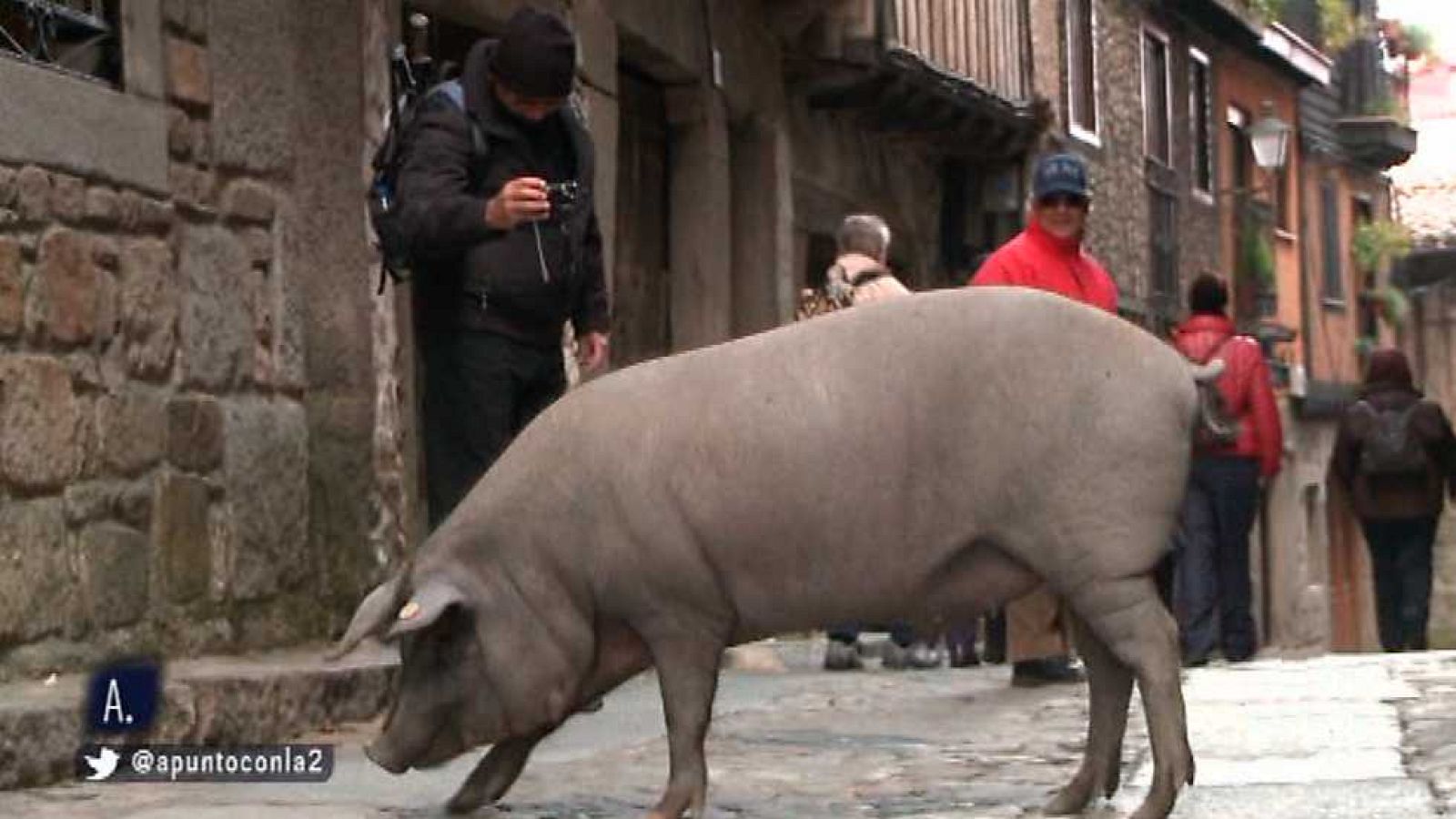 A punto con La 2 - 07/01/16 - Ver ahora