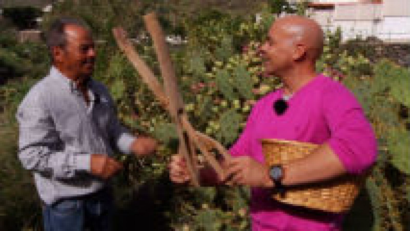 Un tuno... que no canta