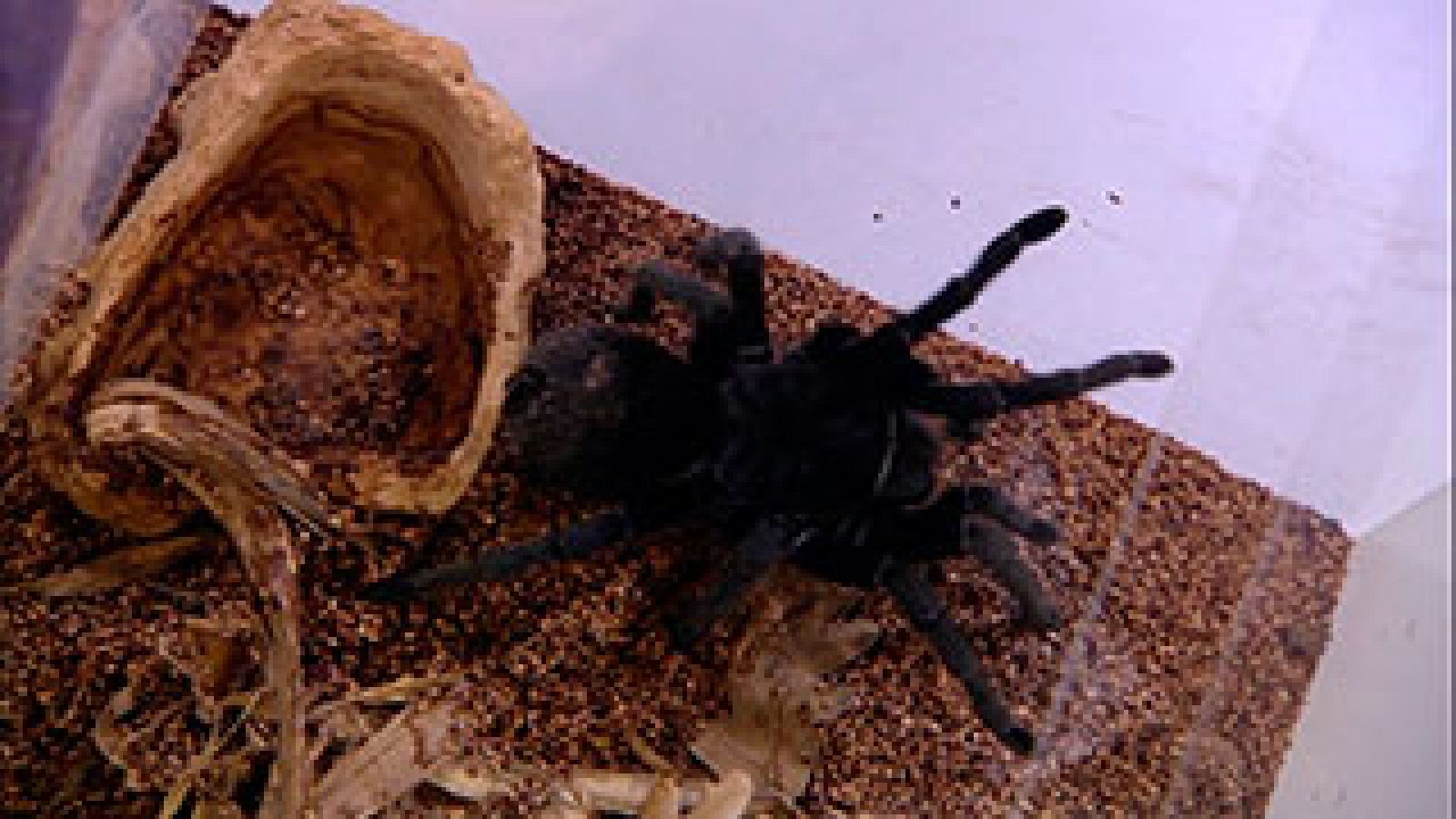  Enfrentarte a tus miedos