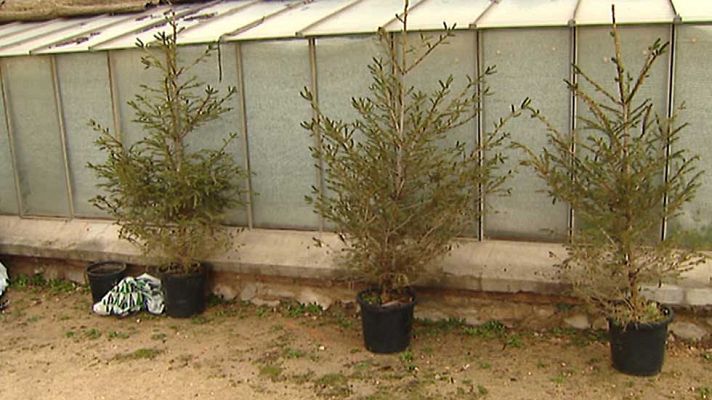 Informativo de Madrid - La Comunidad de Madrid en 4' - 08/01/16