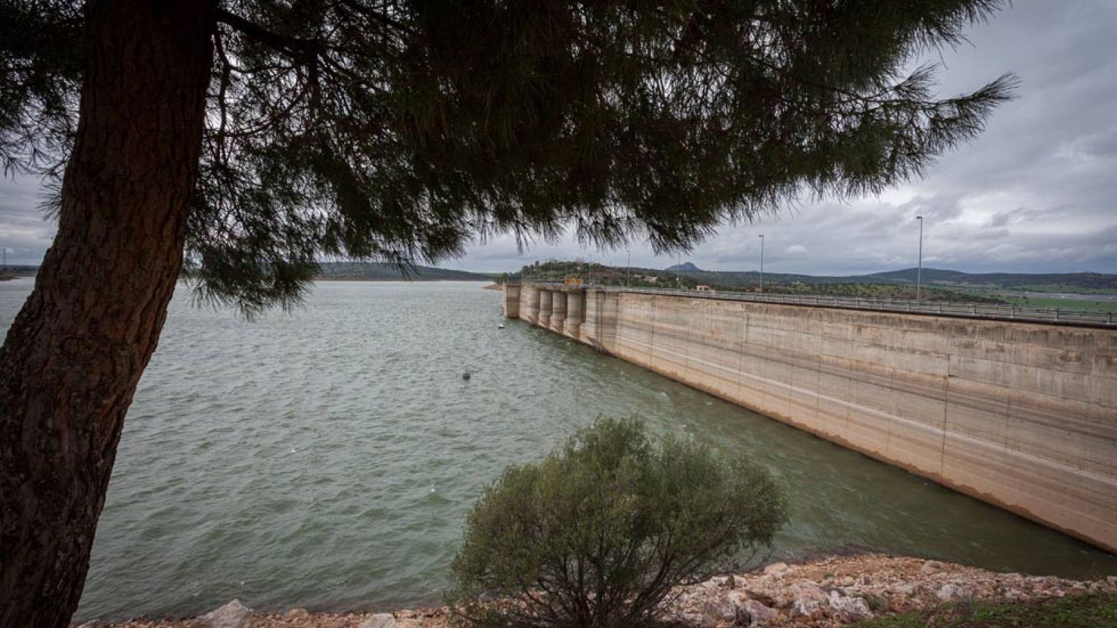 Una mujer es asesinada en Badajoz presuntamente por su pareja | Ver