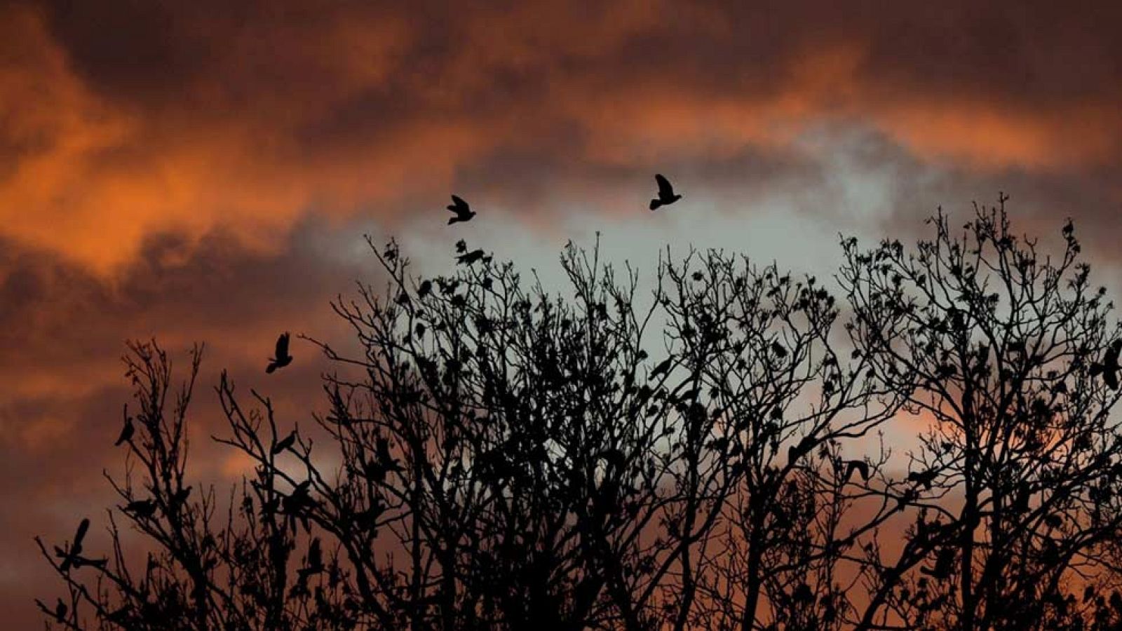 Nuboso y con precipitaciones en la vertiente atlántica peninsular