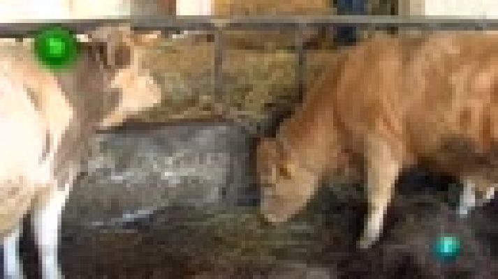 Agrosfera - Carne ecológica