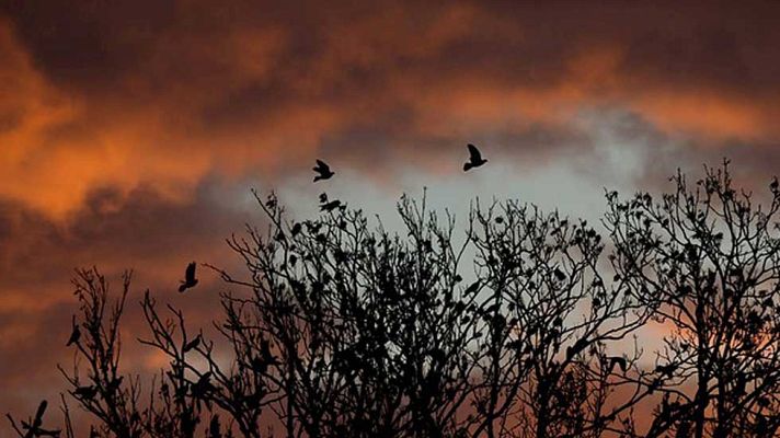 Informativo de Madrid - El Tiempo en la Comunidad de Madrid - 11/01/16