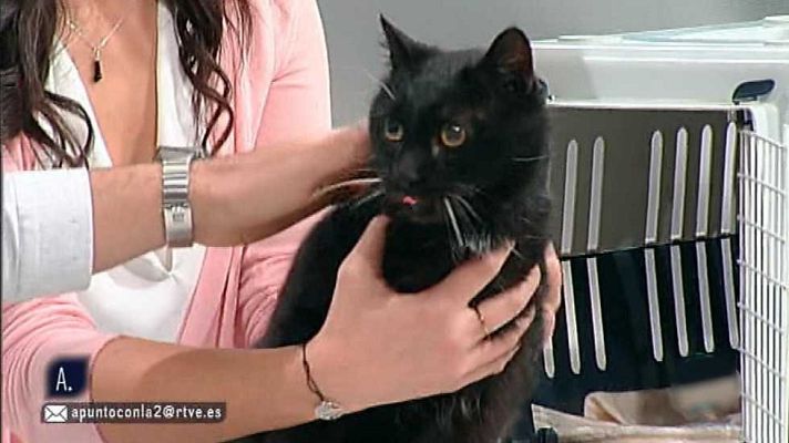 A punto con La 2 - A punto con La 2 - 11/01/16