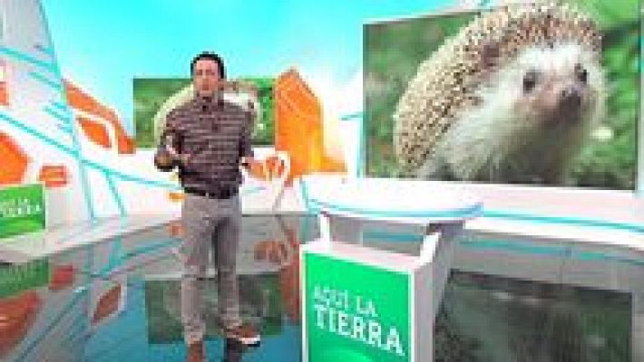 Aquí la Tierra - 11/01/16