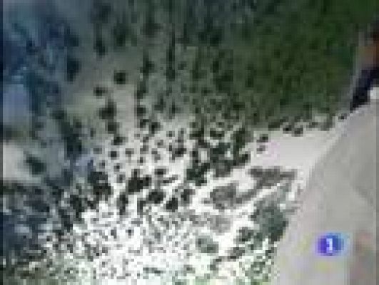  - Más de dos años y 15 colaboradores