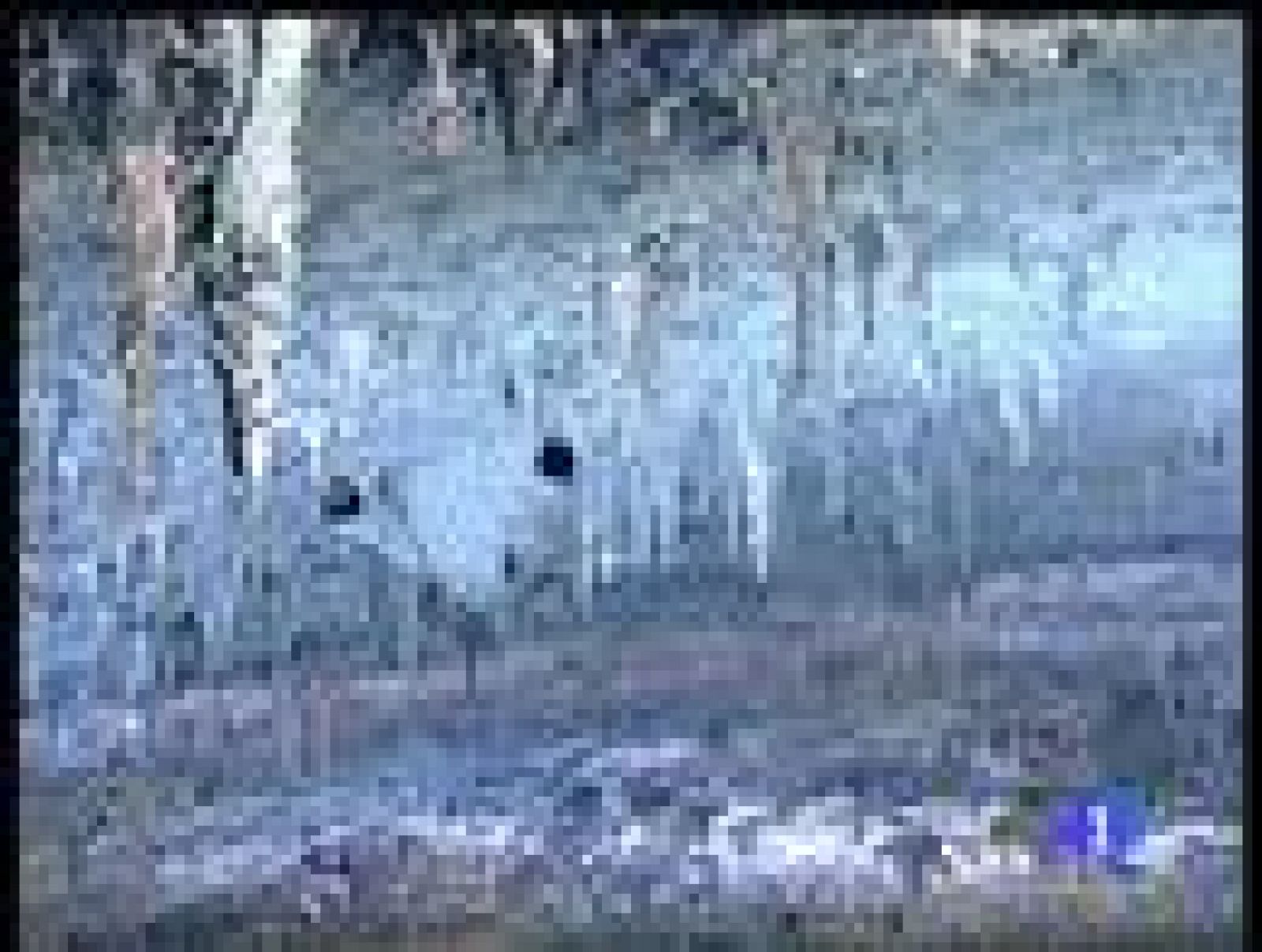 Los Reyes han inaugurado la cúpula decorada por Barceló | Ver