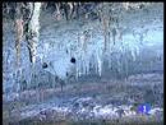  - Inauguración de la cúpula