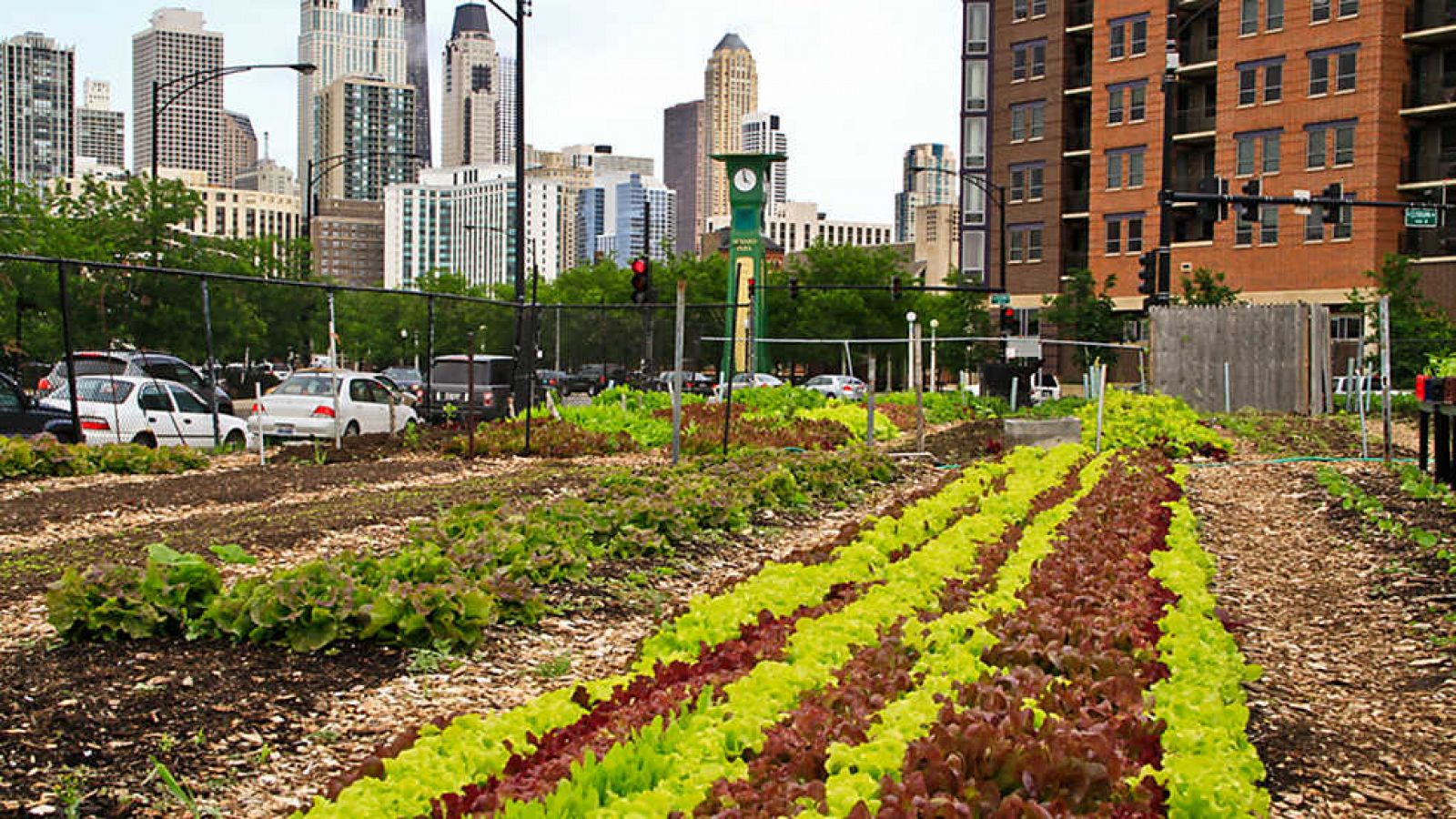 Documenta2 - Cultivando la ciudad