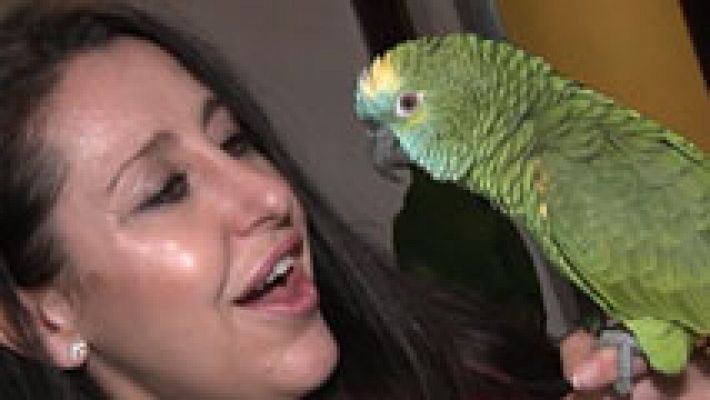 Amor por los loros