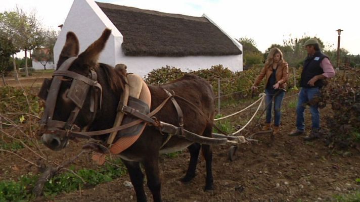Aquí la Tierra - ¿Qué es la mayetería?