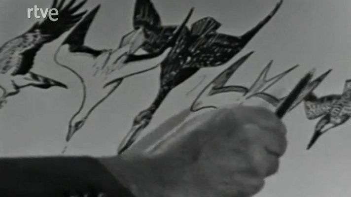 El planeta azul - Las aves marinas