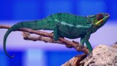 Esto es vida! - 13/01/16