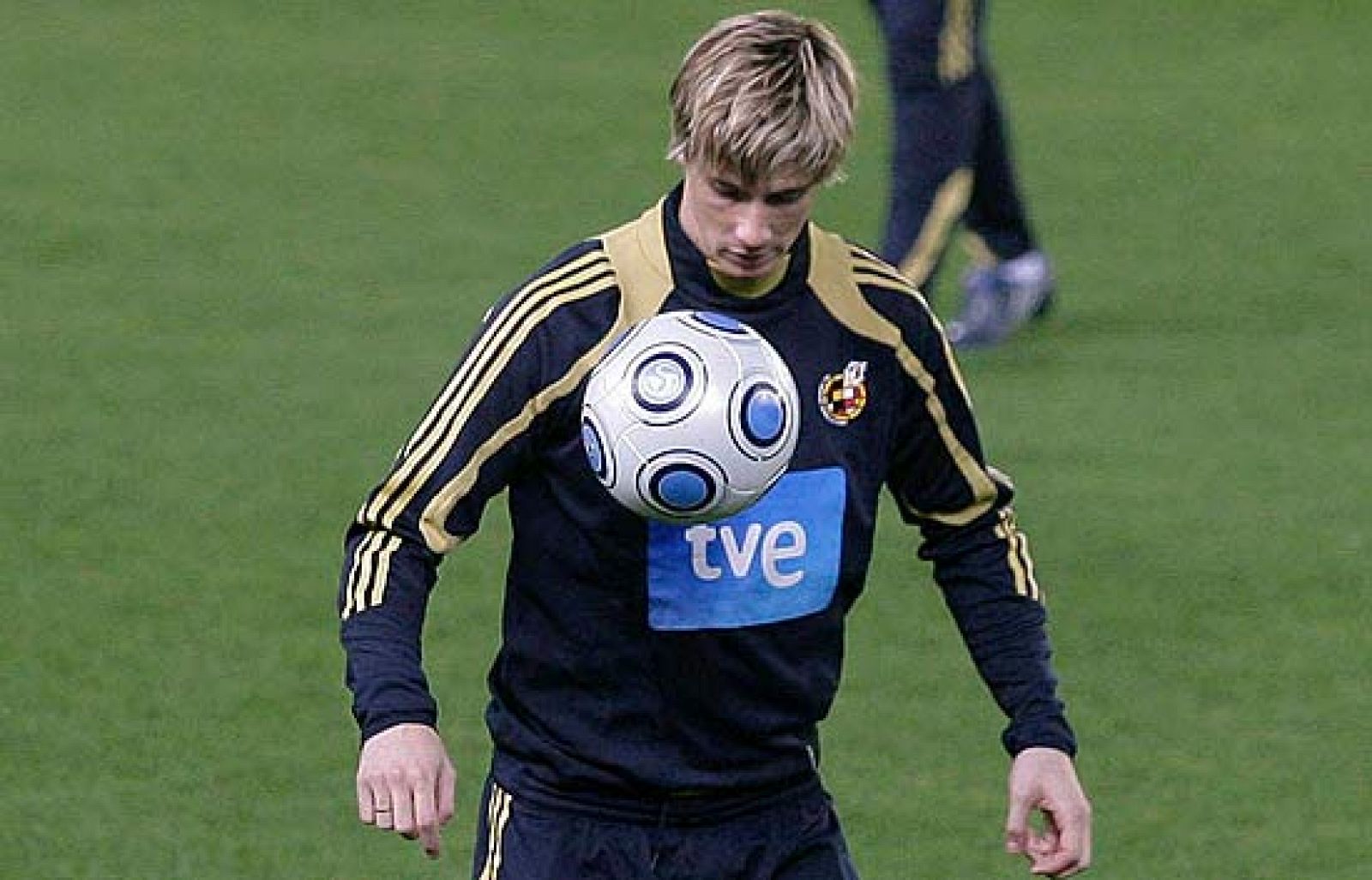 La selección española lleva dos años invicta. Los clubes europeos se rifan a los jugadores de la "roja" que están al alza. Del Bosque no puede votar a los españoles y ha confesado a TVE cuáles son sus futbolistas favoritos para el galardón. Cristiano