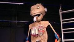 Esto es vida! - 14/01/16