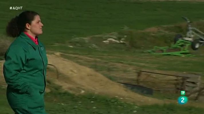 Aquí hay trabajo - Mujeres que trabajan a la sombra de su pareja