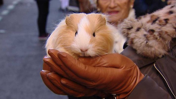 Informativo de Madrid - Informativo de Madrid 2 - 15/01/16