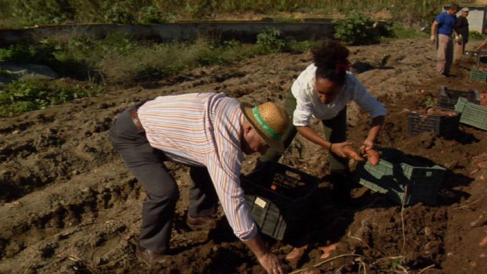 Aquí la Tierra - Lo que no sabías sobre los boniatos