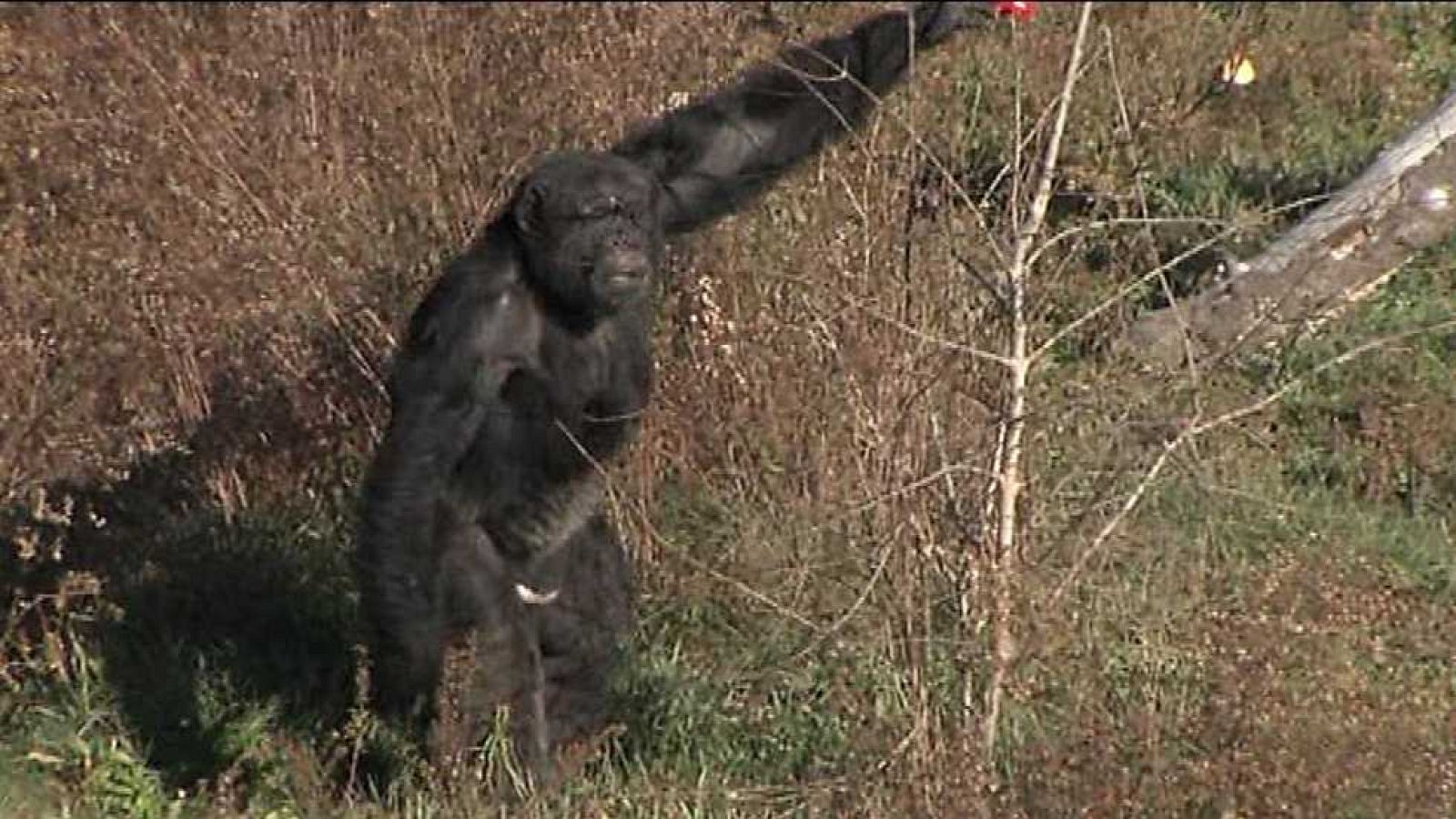 España en comunidad - 05/12/15 - ver ahora