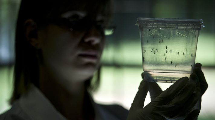 Informativo 24h - El virus Zika se extiende por América latina y la OMS alerta del peligro para las embarazadas