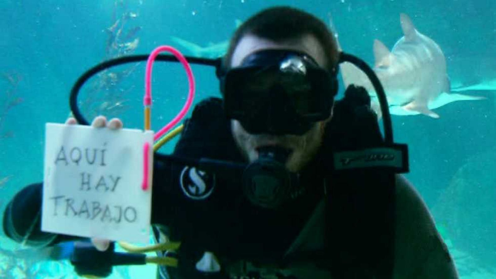 Aquí hay trabajo - 18/01/16 - Ver ahora