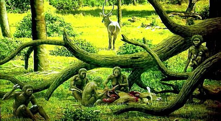 Universo UNED - Prehistoria. Tras las huellas de los primeros humanos