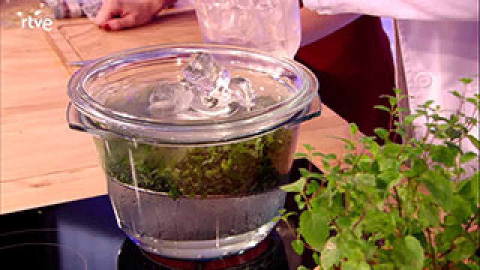  Cómo preparar aceite esencial de menta