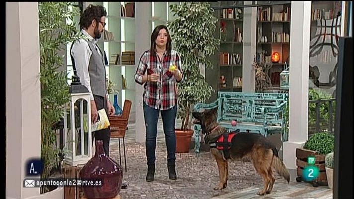 A punto con La 2 - Cómo evitar que el perro se escape