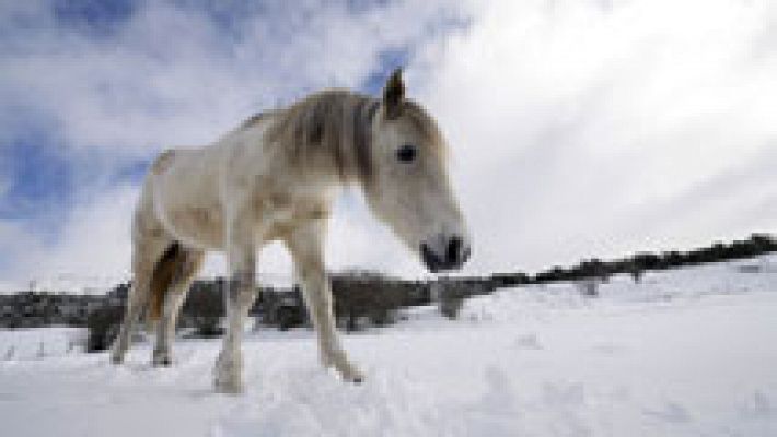 El tiempo - Nevadas en Pirineos y viento fuerte en litoral Cantábrico y Galicia