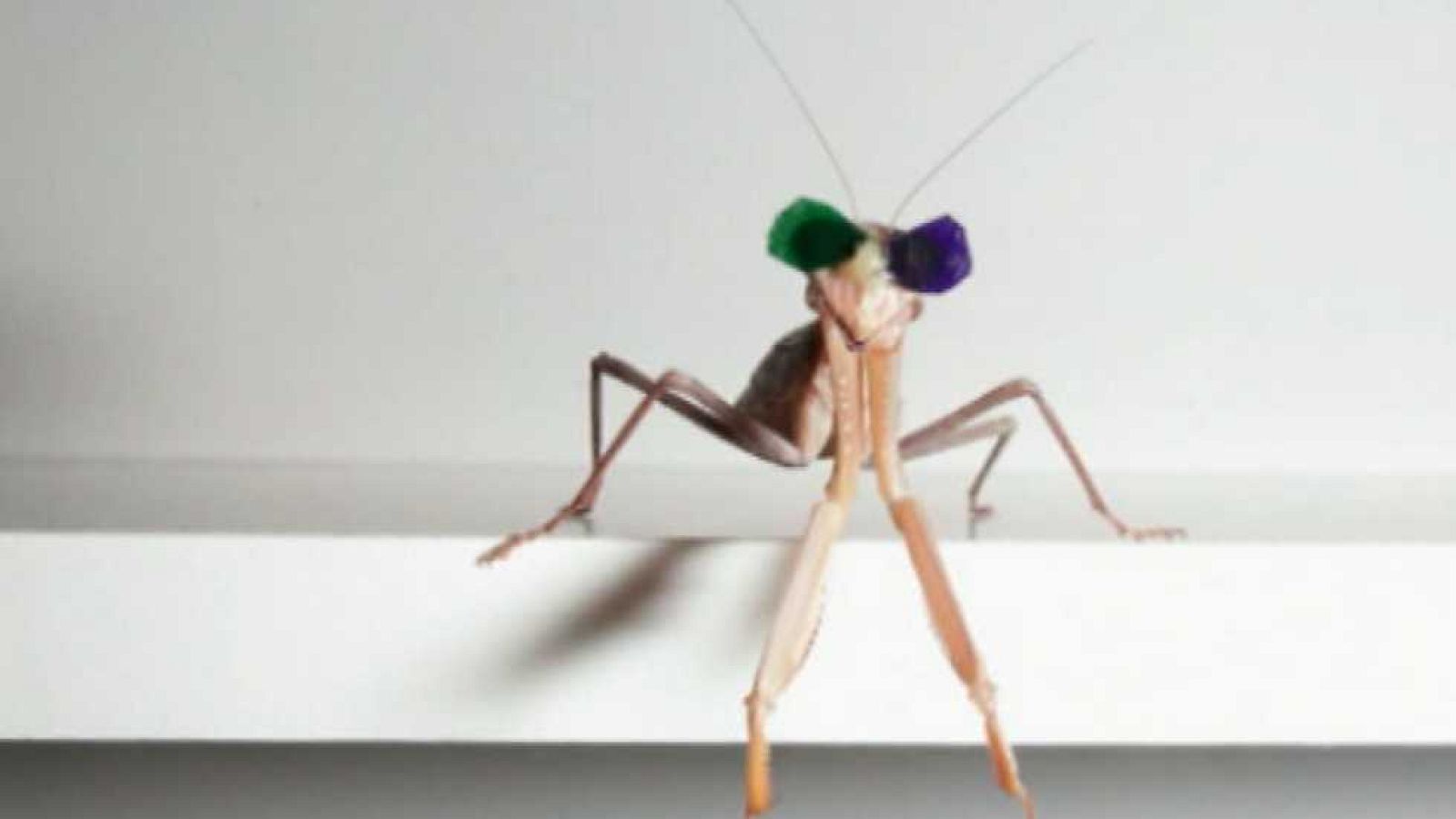 La 2 Noticias - 18/01/16 - Ver ahora