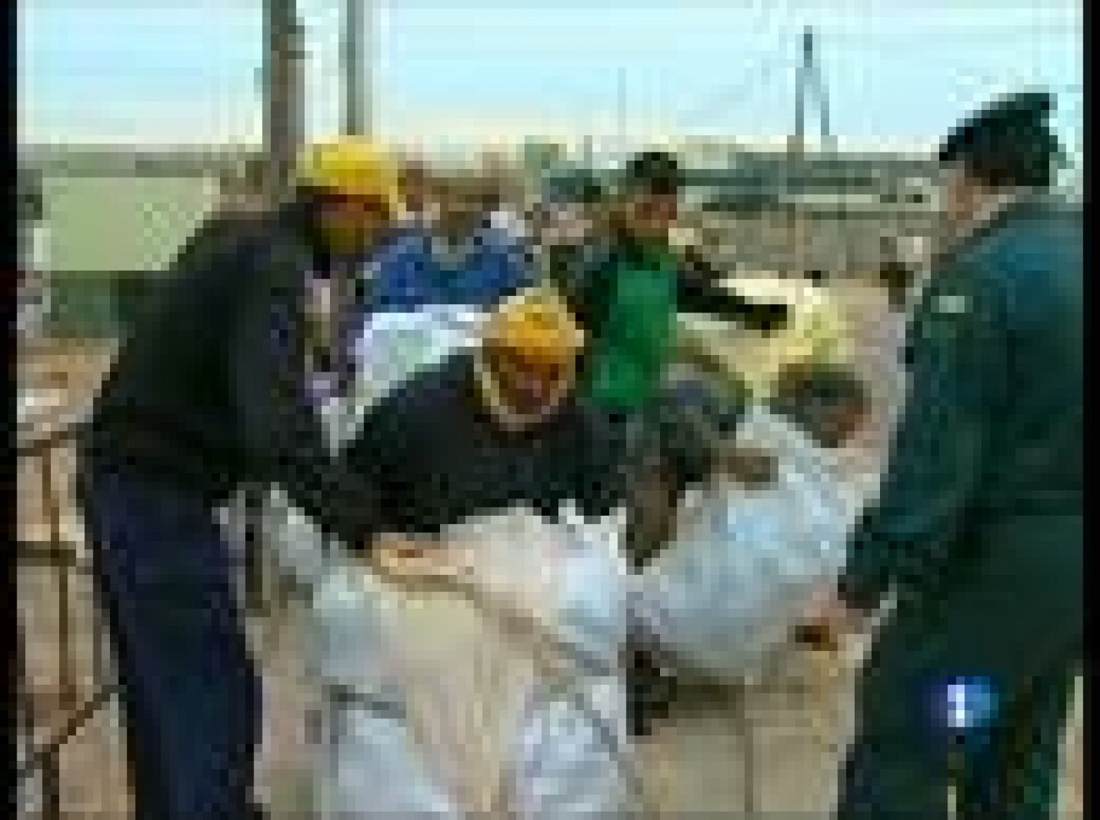 En la frontera de Melilla continúan las aglomeraciones | Ver