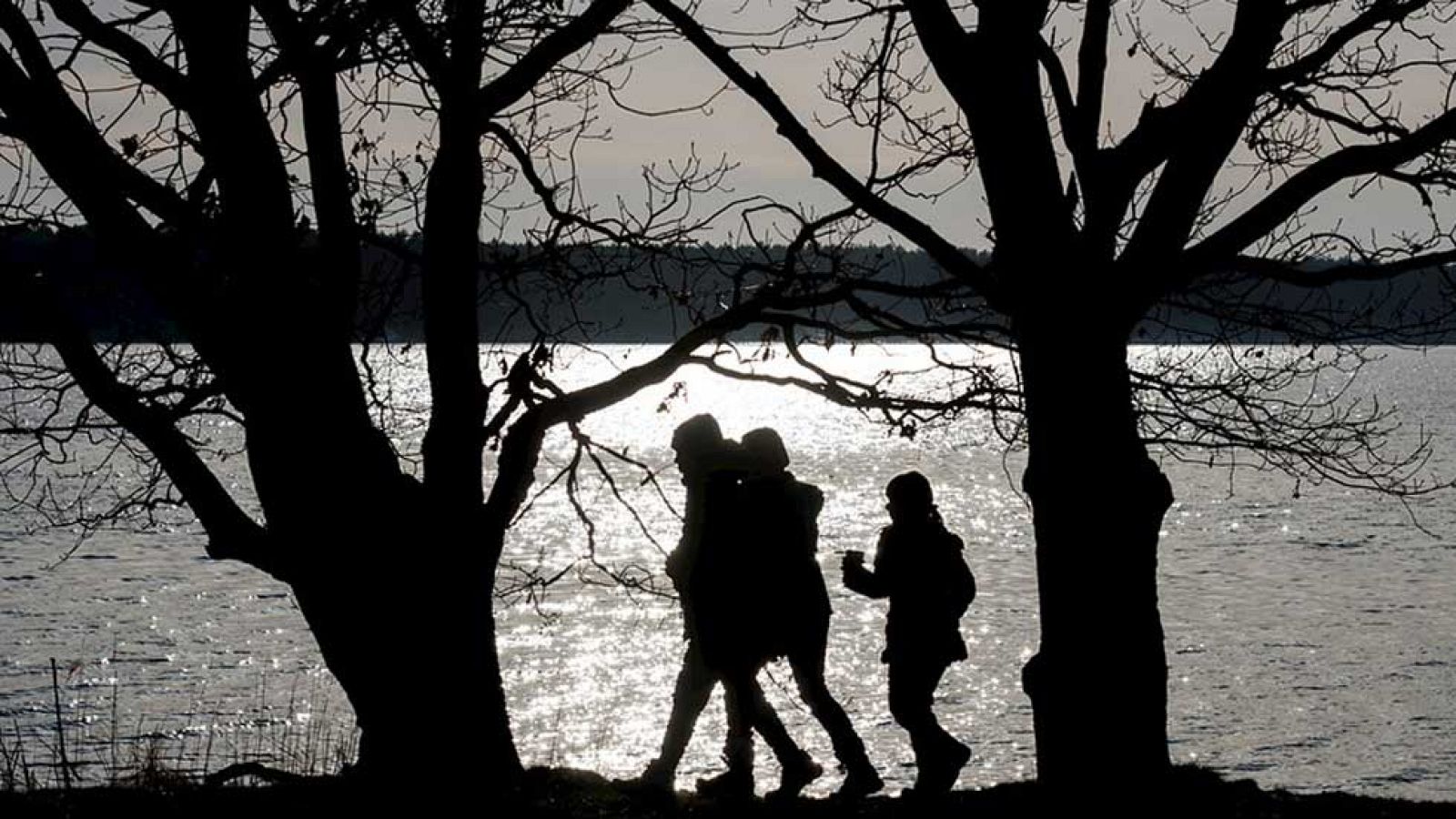 El Tiempo en la Comunidad de Madrid - 19/01/16