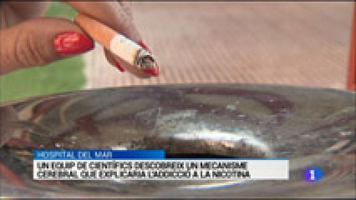 L'Informatiu - L'Informatiu - 19/01/16