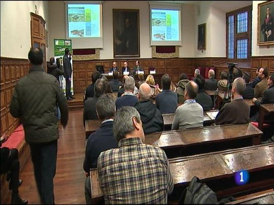 Panorama Regional - Panorama Regional 2 - 19/01/16