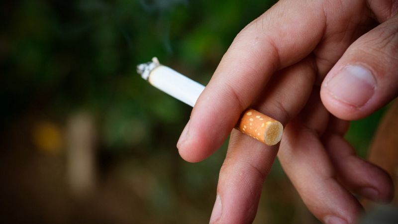 Los receptores neuronales de la nicotina en el cerebro están directamente relacionados con los mecanismos de placer