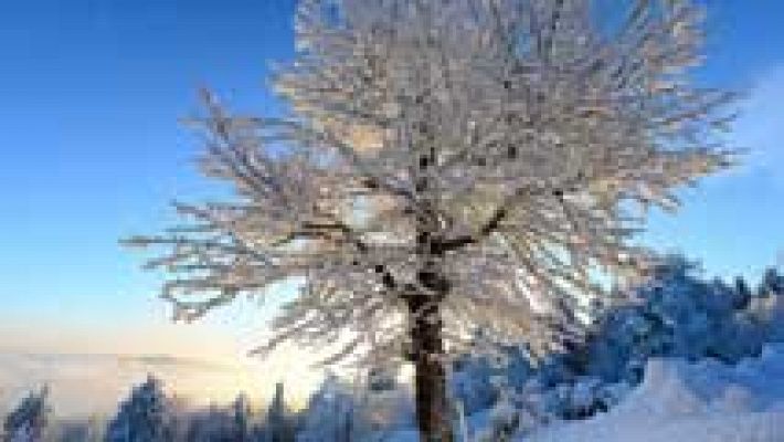 Informativo de Madrid - El Tiempo en la Comunidad de Madrid - 20/01/16