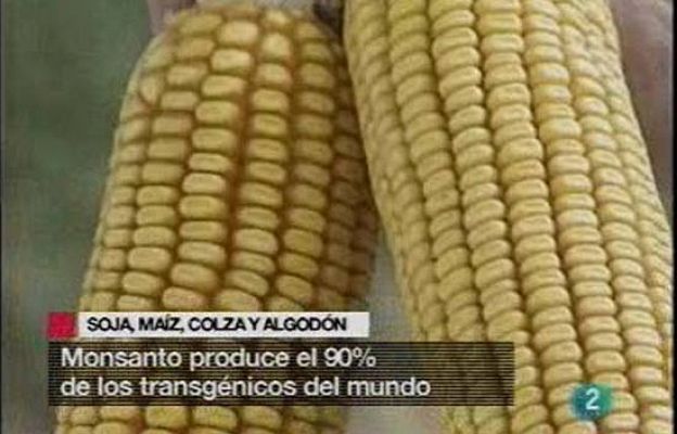 Ciencia y tecnología en Rtve.es - El negocio de los transgénicos
