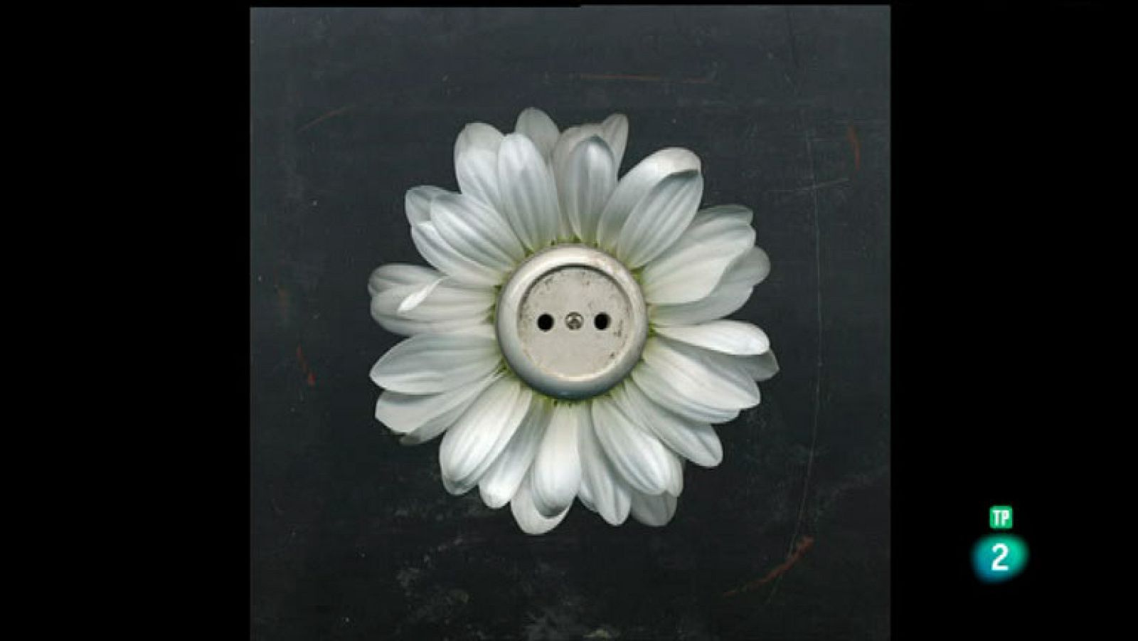 La Aventura del Saber. Serie Boek Visual. Ernesto Arroyo