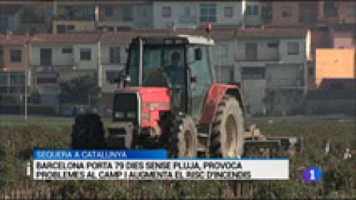 L'Informatiu - L'Informatiu en 3' - 21/01/16