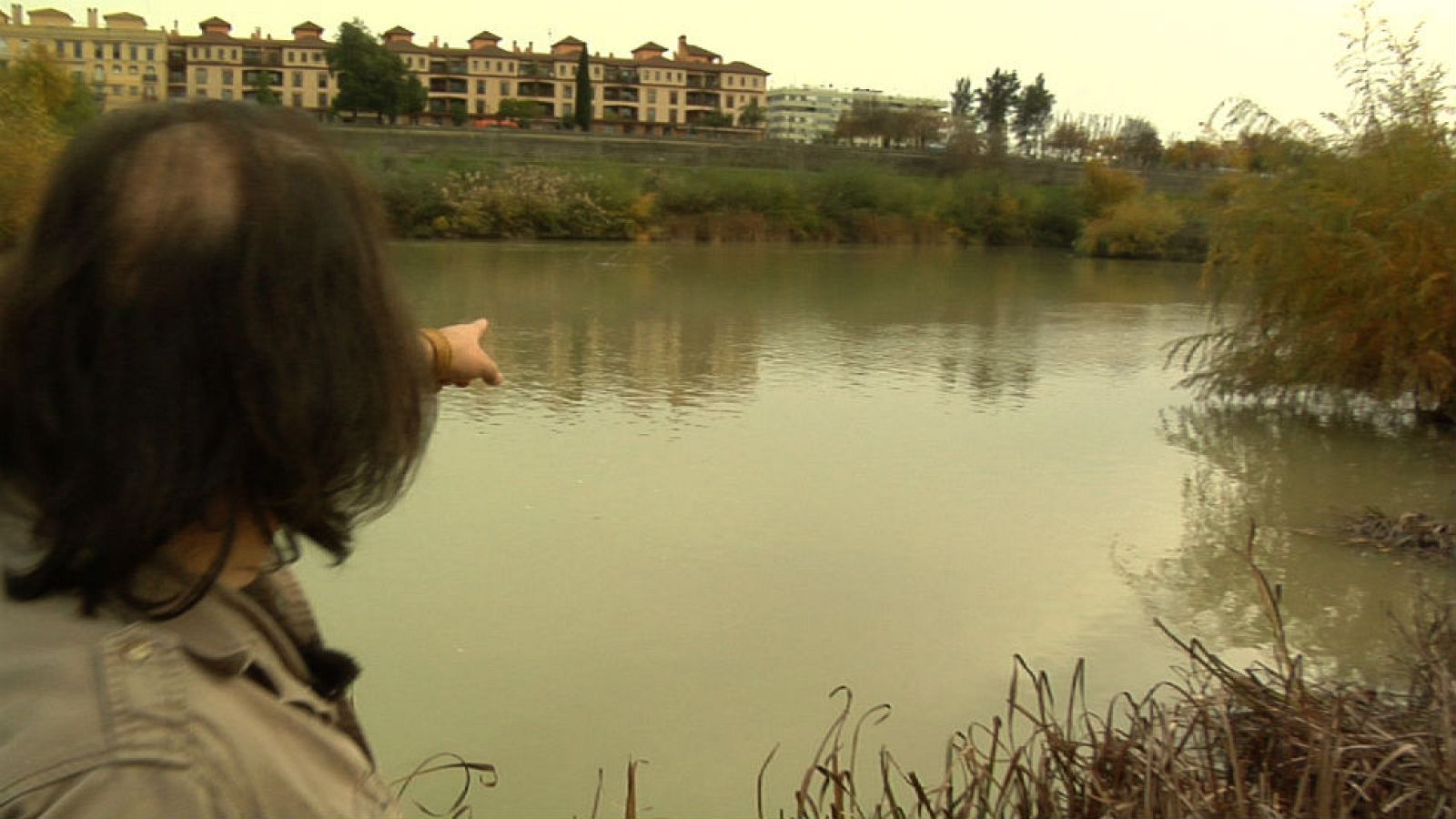 Avistamos nutrias en Córdoba