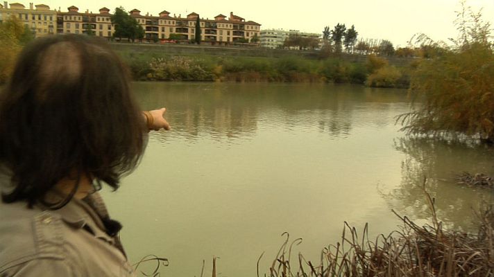 Aquí la Tierra - Avistamos nutrias en Córdoba