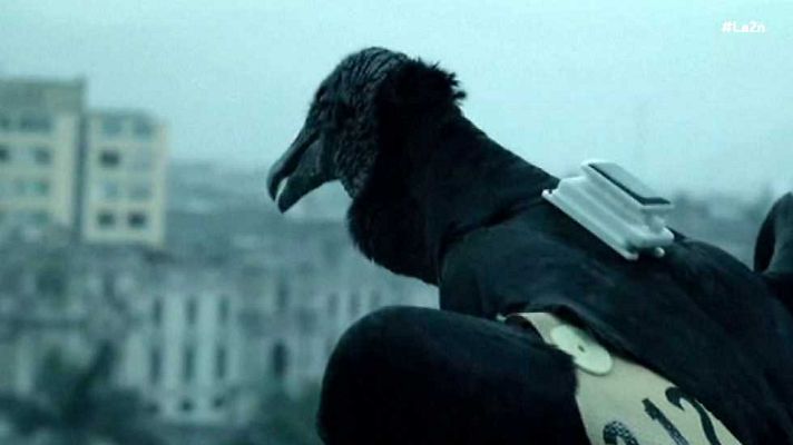 La 2 Noticias - La 2 Noticias - 21/01/16