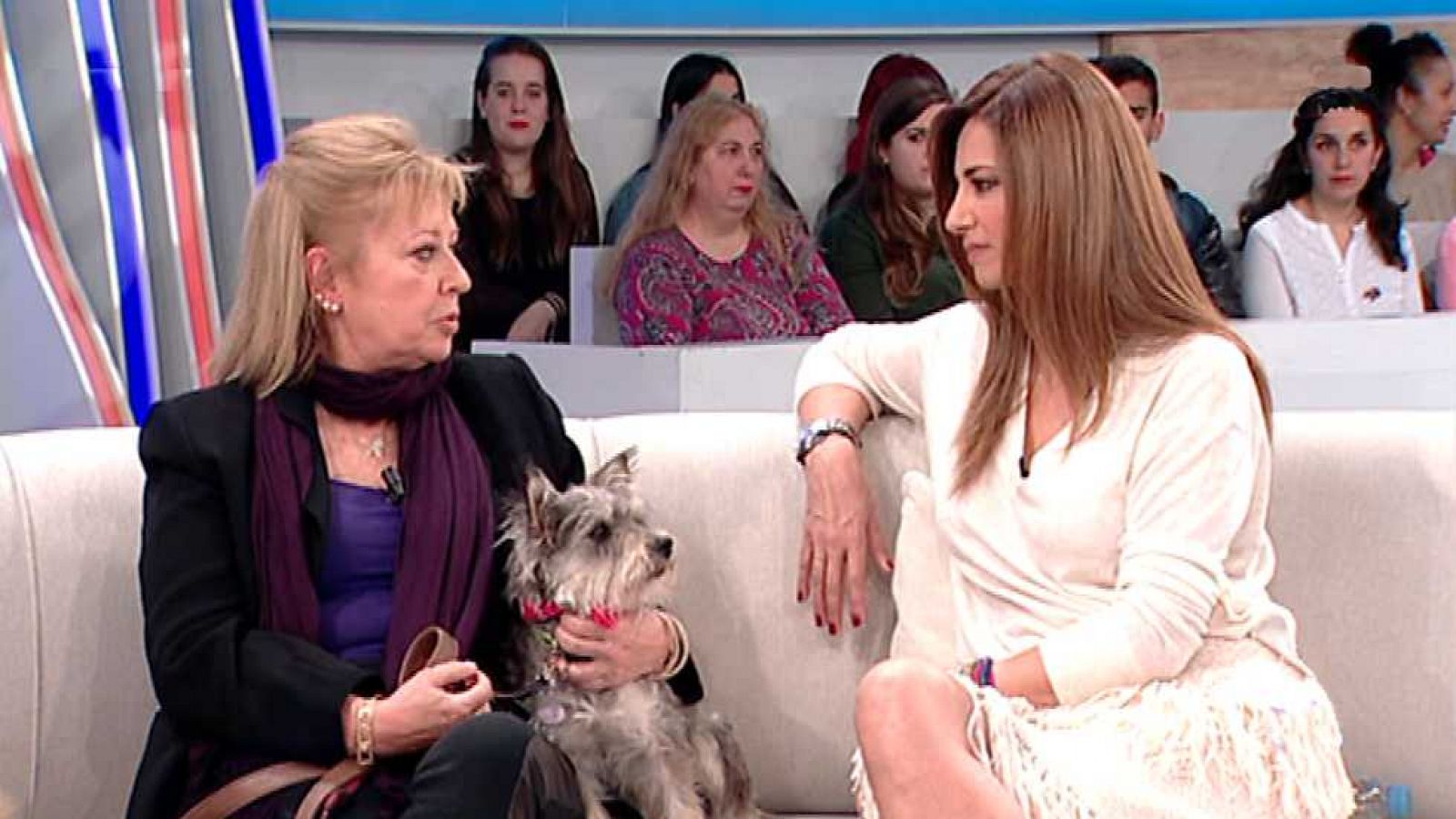 La mañana - 22/01/16 - ver ahora