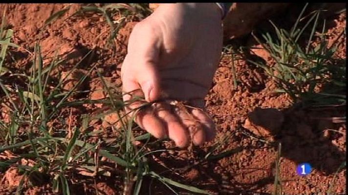 Informatiu Balear - Informatiu Balear en 2' - 22/01/16